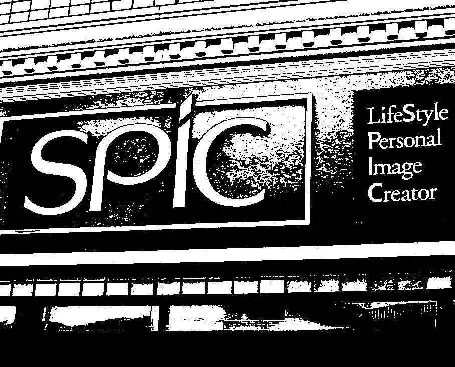 SPIC-lifeStyle Personal Image Creator.